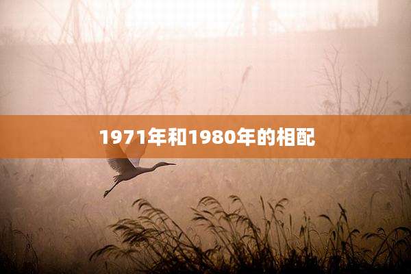 1971年和1980年的相配