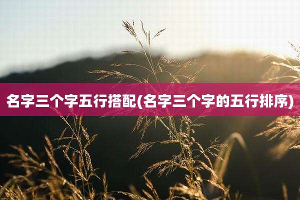 名字三个字五行搭配(名字三个字的五行排序)