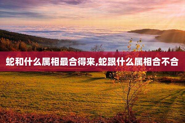蛇和什么属相最合得来,蛇跟什么属相合不合