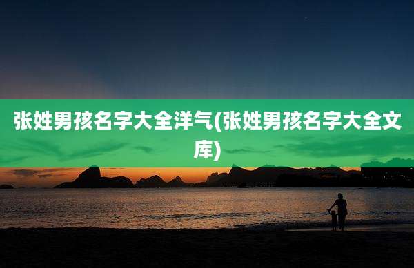 张姓男孩名字大全洋气(张姓男孩名字大全文库)