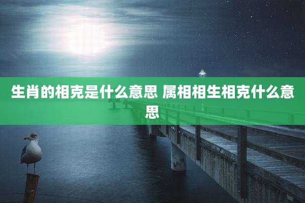 生肖的相克是什么意思 属相相生相克什么意思