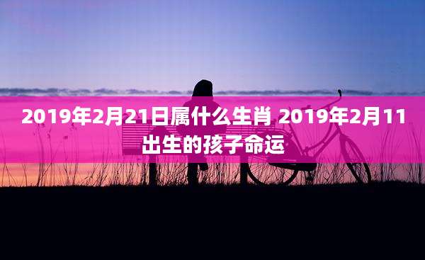 2019年2月21日属什么生肖 2019年2月11出生的孩子命运