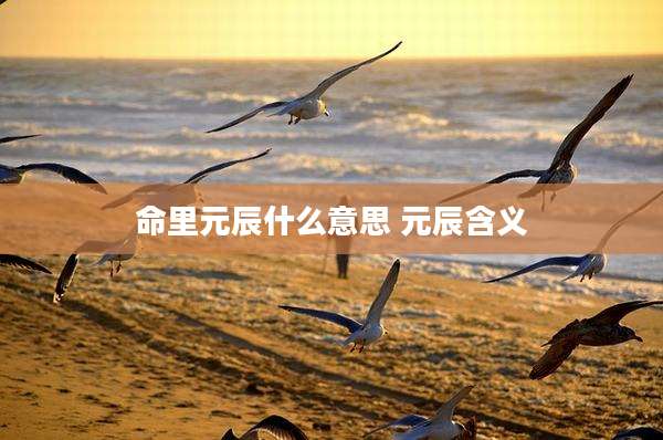 命里元辰什么意思 元辰含义