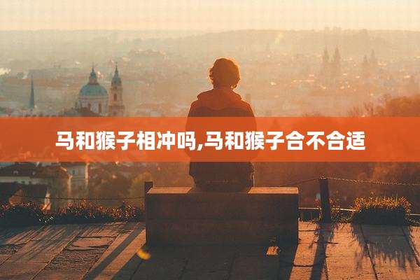 马和猴子相冲吗,马和猴子合不合适