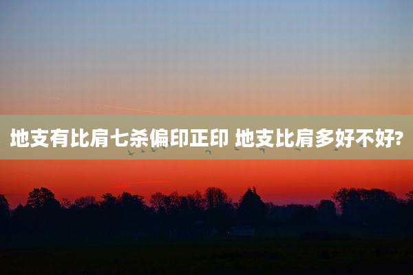 地支有比肩七杀偏印正印 地支比肩多好不好?