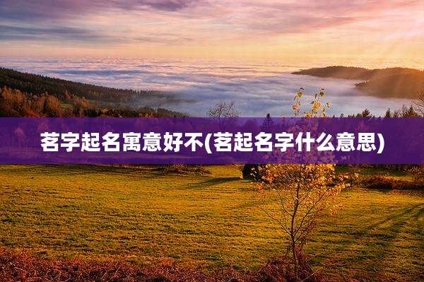 茗字起名寓意好不(茗起名字什么意思)