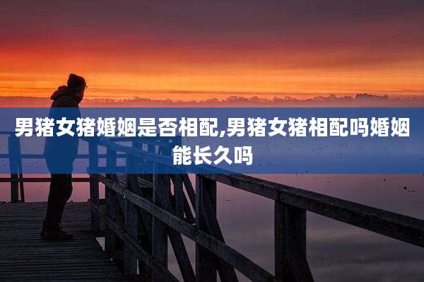 男猪女猪婚姻是否相配,男猪女猪相配吗婚姻能长久吗