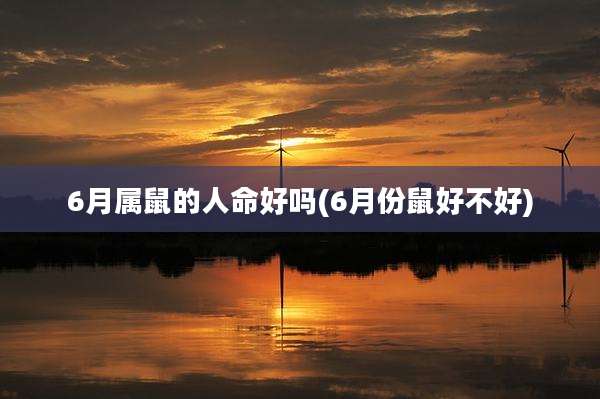6月属鼠的人命好吗(6月份鼠好不好)