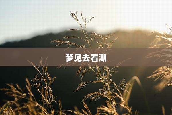 梦见去看湖