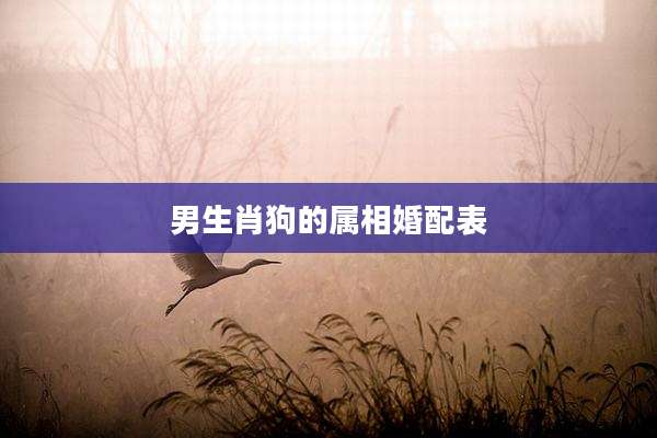 男生肖狗的属相婚配表