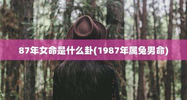 87年女命是什么卦(1987年属兔男命)