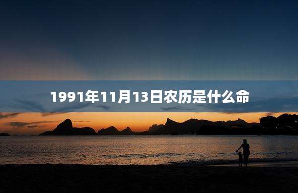 1991年11月13日农历是什么命