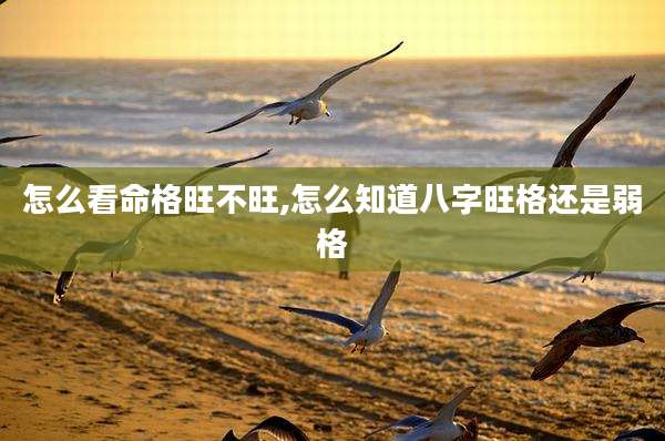 怎么看命格旺不旺,怎么知道八字旺格还是弱格