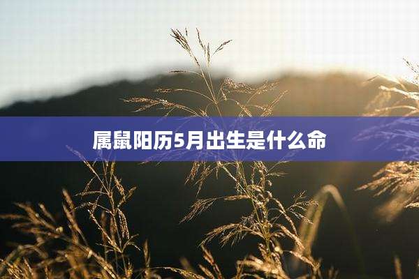属鼠阳历5月出生是什么命
