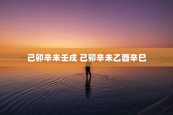 己卯辛未壬戌 己卯辛未乙酉辛巳