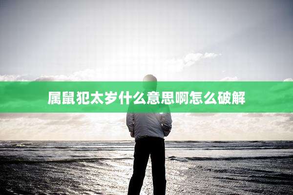 属鼠犯太岁什么意思啊怎么破解