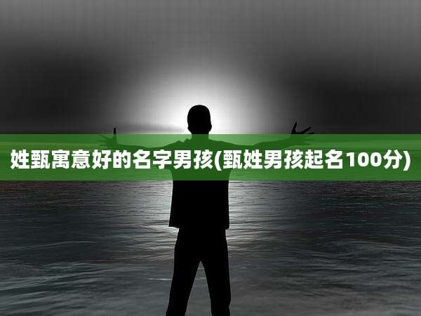 姓甄寓意好的名字男孩(甄姓男孩起名100分)