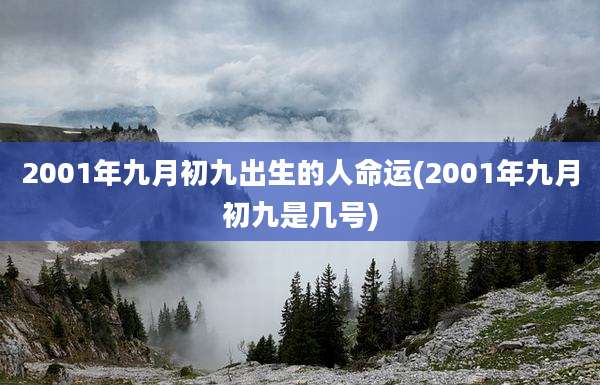 2001年九月初九出生的人命运(2001年九月初九是几号)