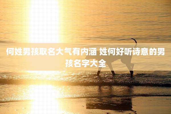何姓男孩取名大气有内涵 姓何好听诗意的男孩名字大全