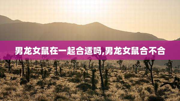 男龙女鼠在一起合适吗,男龙女鼠合不合