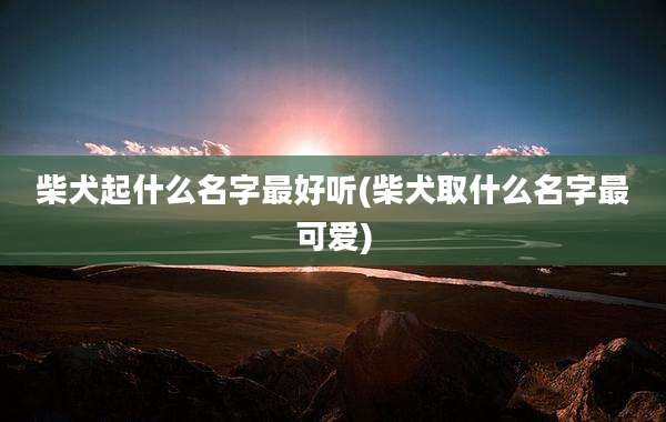 柴犬起什么名字最好听(柴犬取什么名字最可爱)