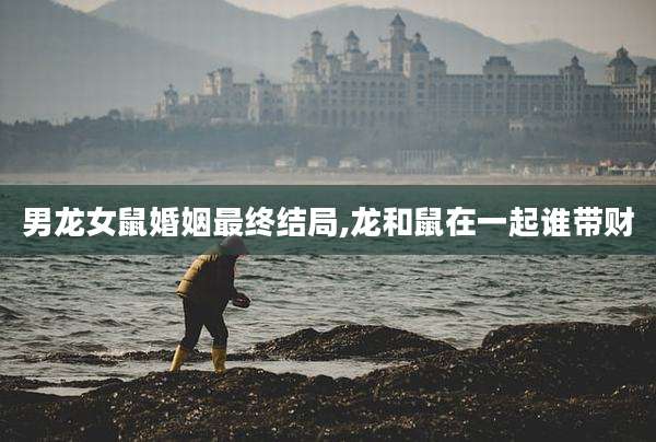 男龙女鼠婚姻最终结局,龙和鼠在一起谁带财