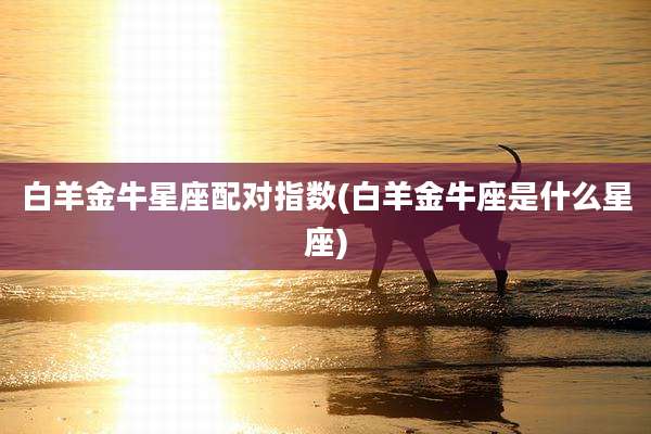 白羊金牛星座配对指数(白羊金牛座是什么星座)