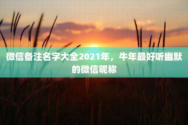 微信备注名字大全2021年,牛年最好听幽默的微信昵称