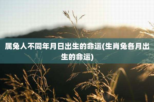 属兔人不同年月日出生的命运(生肖兔各月出生的命运)