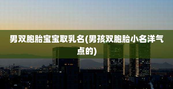 男双胞胎宝宝取乳名(男孩双胞胎小名洋气点的)