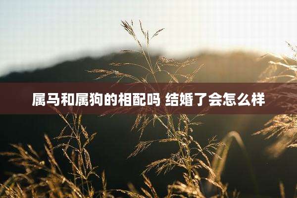 属马和属狗的相配吗 结婚了会怎么样