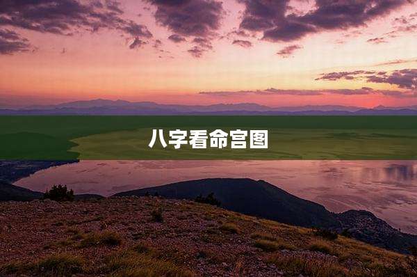 八字看命宫图