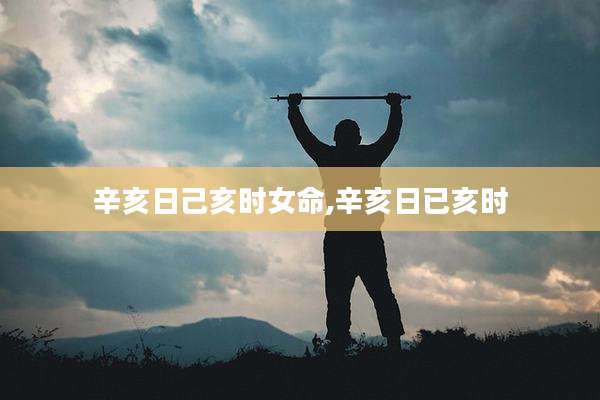 辛亥日己亥时女命,辛亥日已亥时