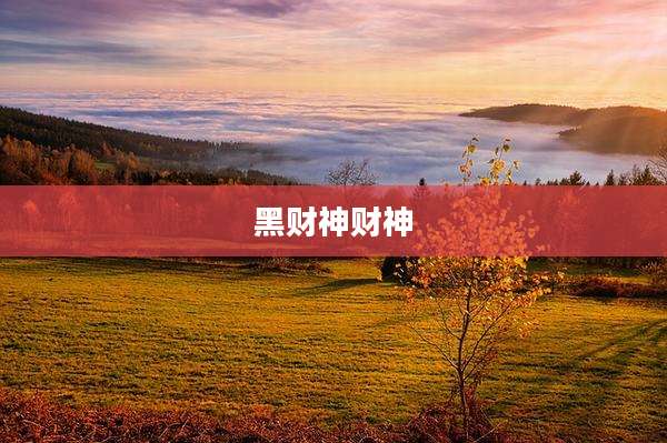 黑财神财神