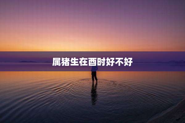 属猪生在酉时好不好