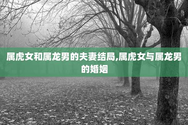 属虎女和属龙男的夫妻结局,属虎女与属龙男的婚姻