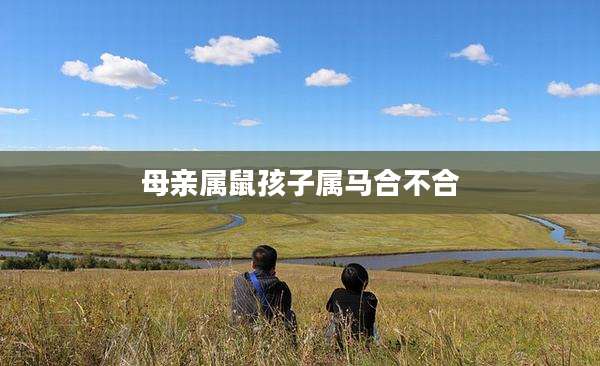 母亲属鼠孩子属马合不合