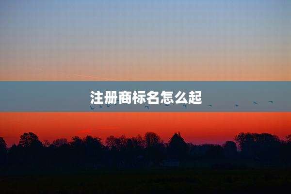 注册商标名怎么起