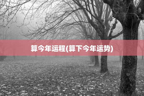 算今年运程(算下今年运势)