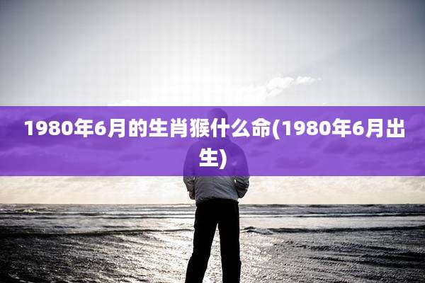 1980年6月的生肖猴什么命(1980年6月出生)