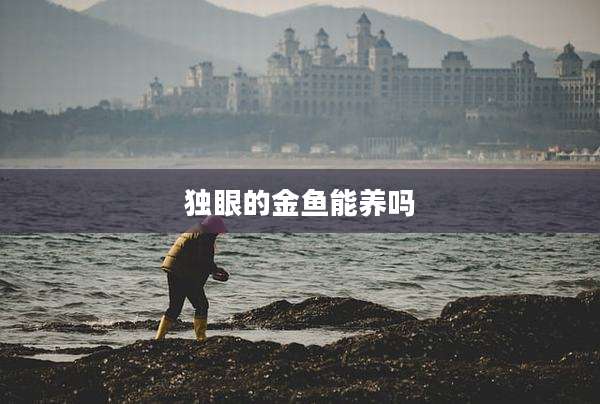 独眼的金鱼能养吗