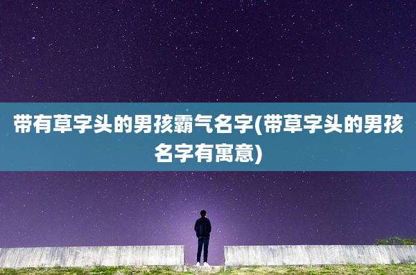 带有草字头的男孩霸气名字(带草字头的男孩名字有寓意)