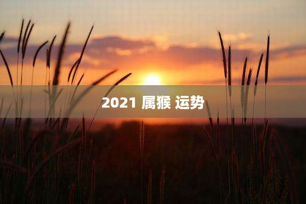 2021 属猴 运势