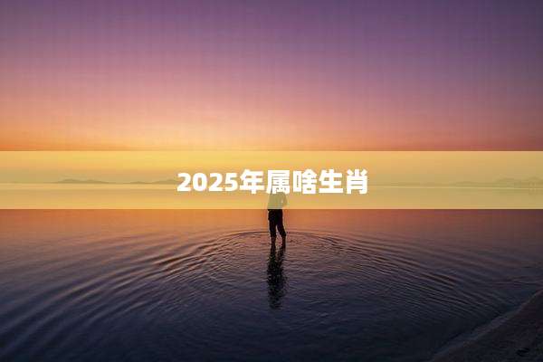 2025年属啥生肖