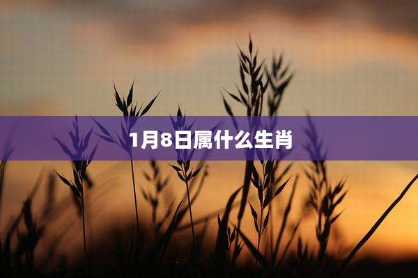 1月8日属什么生肖