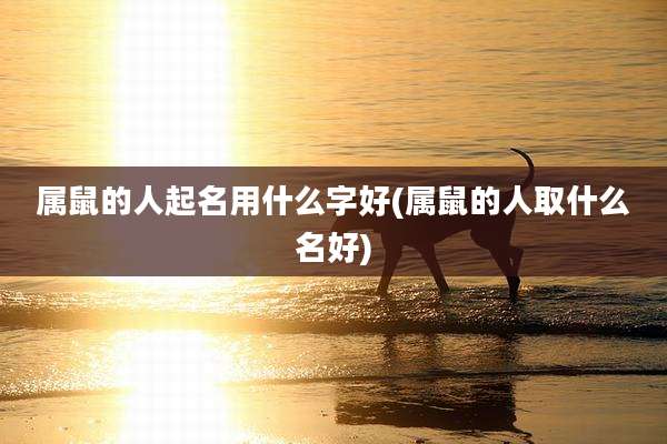 属鼠的人起名用什么字好(属鼠的人取什么名好)