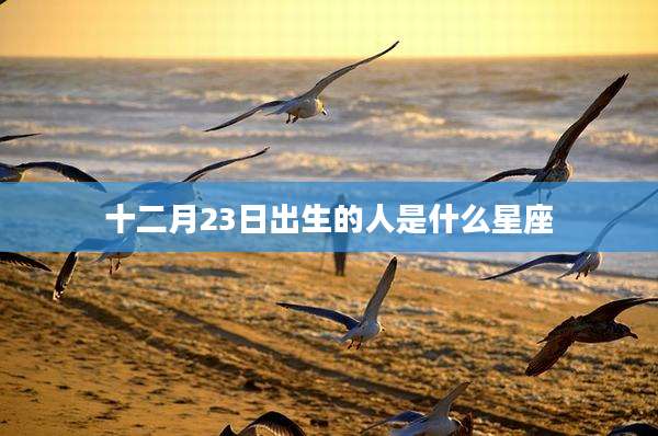 十二月23日出生的人是什么星座