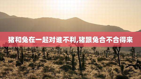 猪和兔在一起对谁不利,猪跟兔合不合得来
