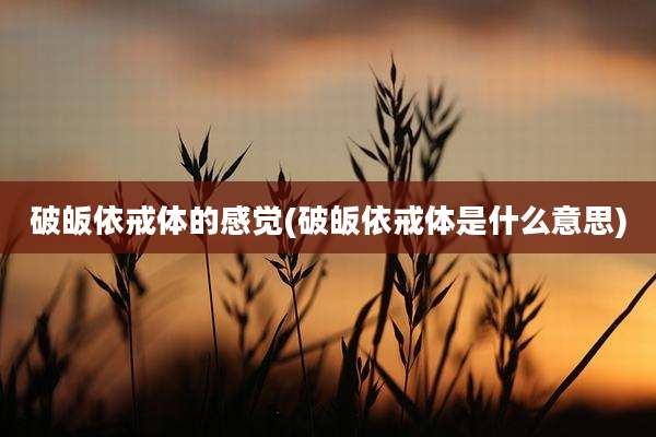 破皈依戒体的感觉(破皈依戒体是什么意思)