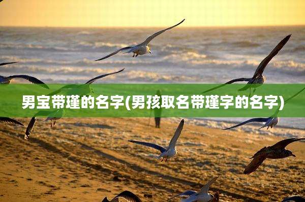 男宝带瑾的名字(男孩取名带瑾字的名字)